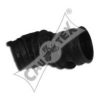 CAUTEX 481068 Radiator Hose